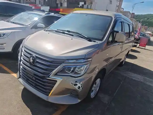 Dongfeng Lingzhi 2025