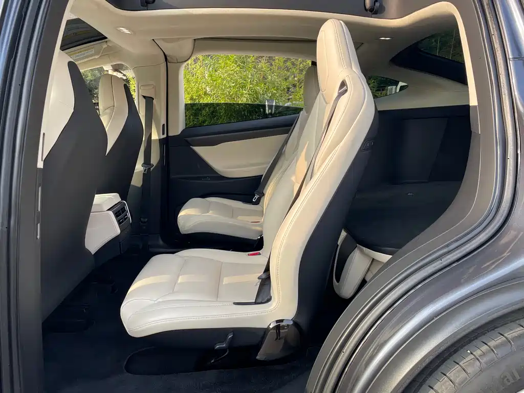 Tesla Model X 2019 — фото 12