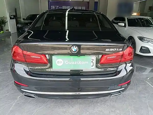 BMW 5 Series New Energy 2019