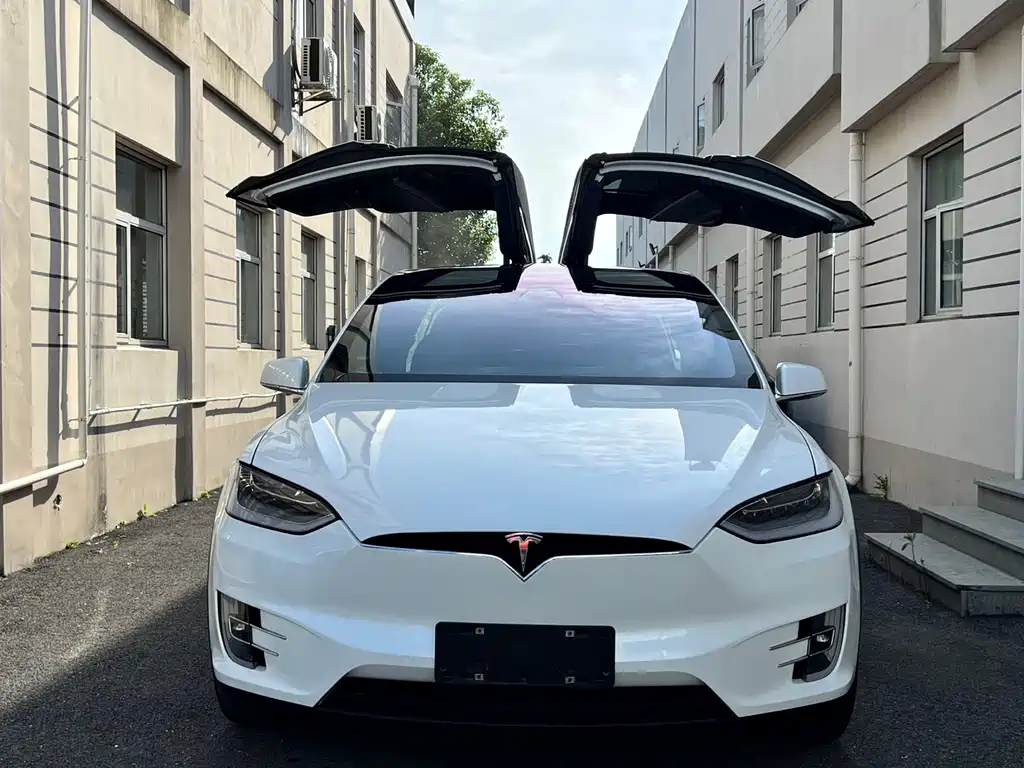 Tesla Model X 2019 — фото 8
