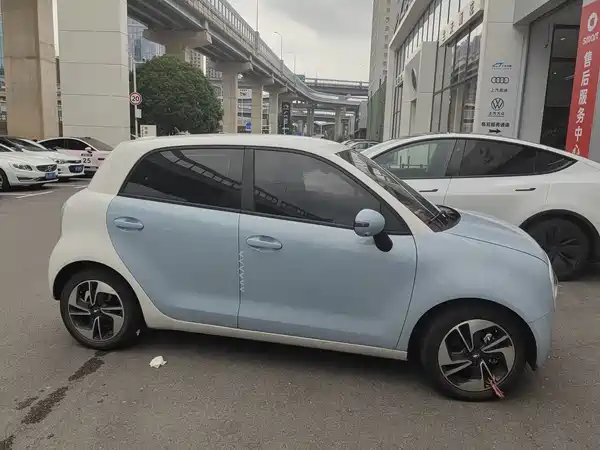 Ora Black Cat 2021