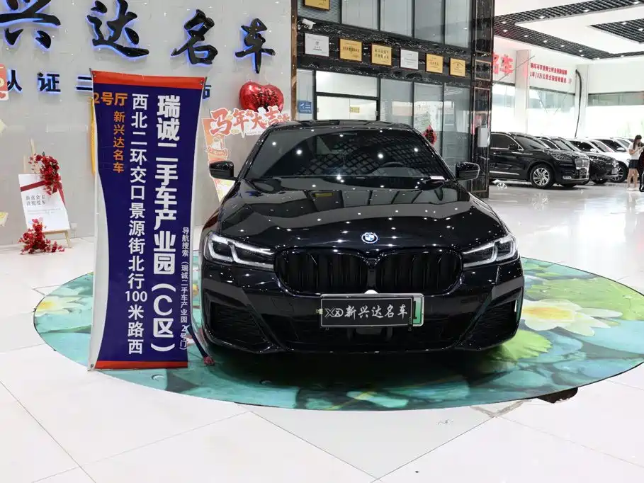 BMW 5 Series New Energy 2022
