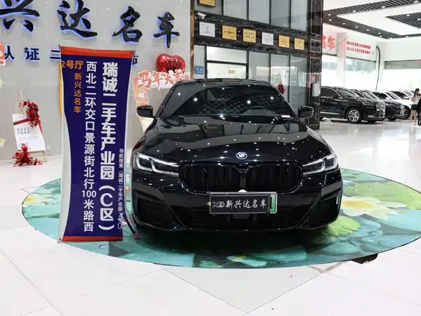 BMW 5 Series New Energy 2022