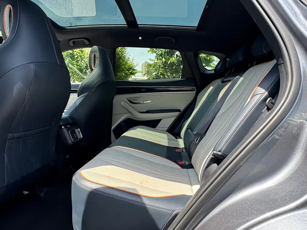 BYD PLUS New Energy 2023 — фото 10