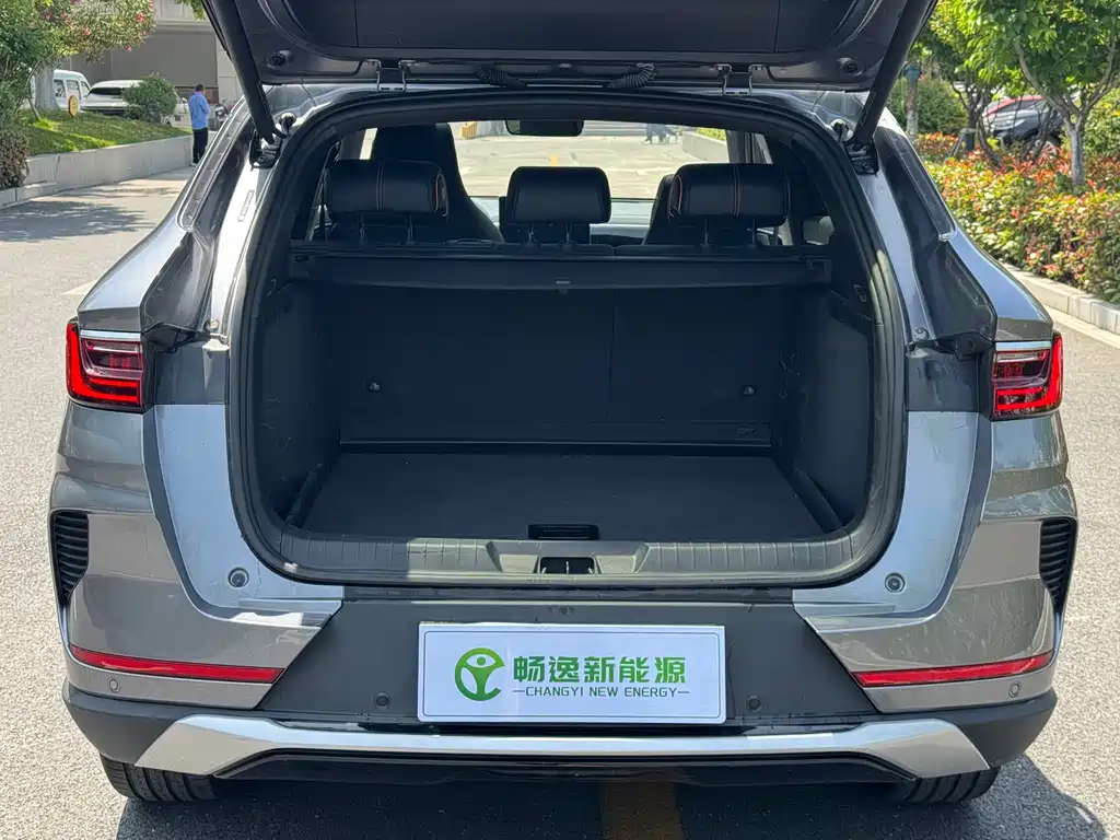 BYD PLUS New Energy 2023 — фото 18