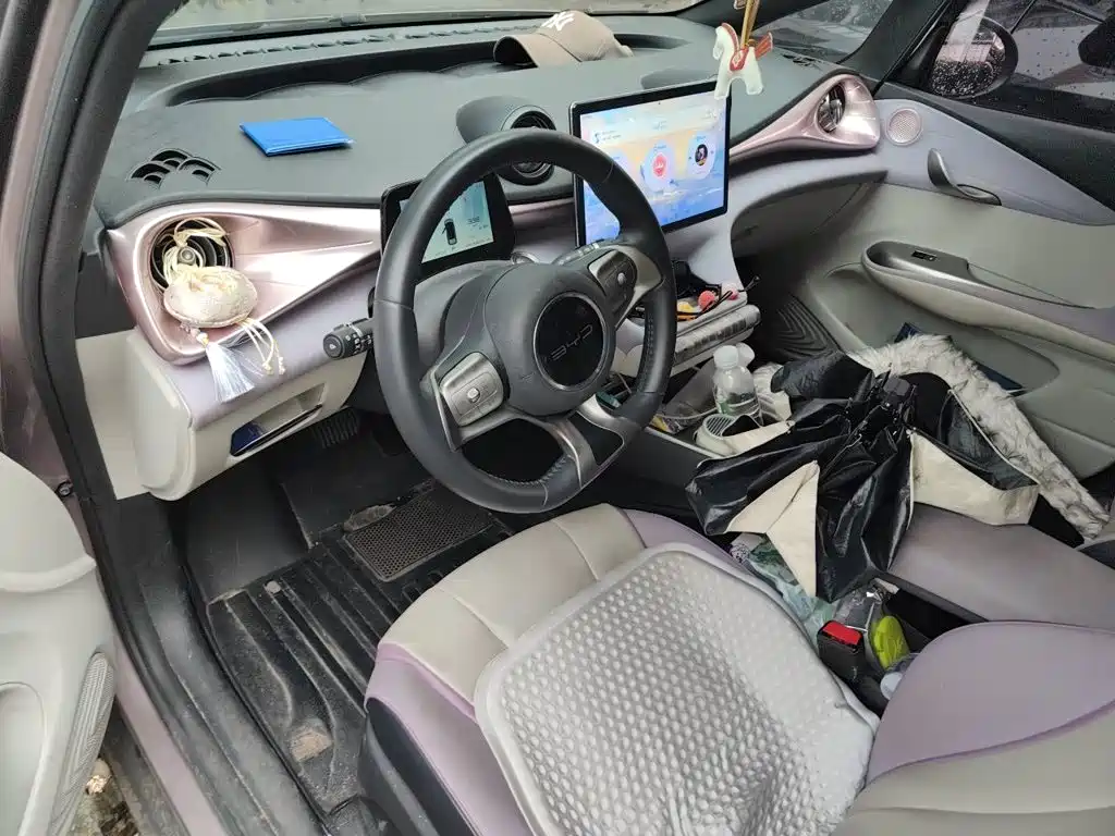BYD Dolphin 2022