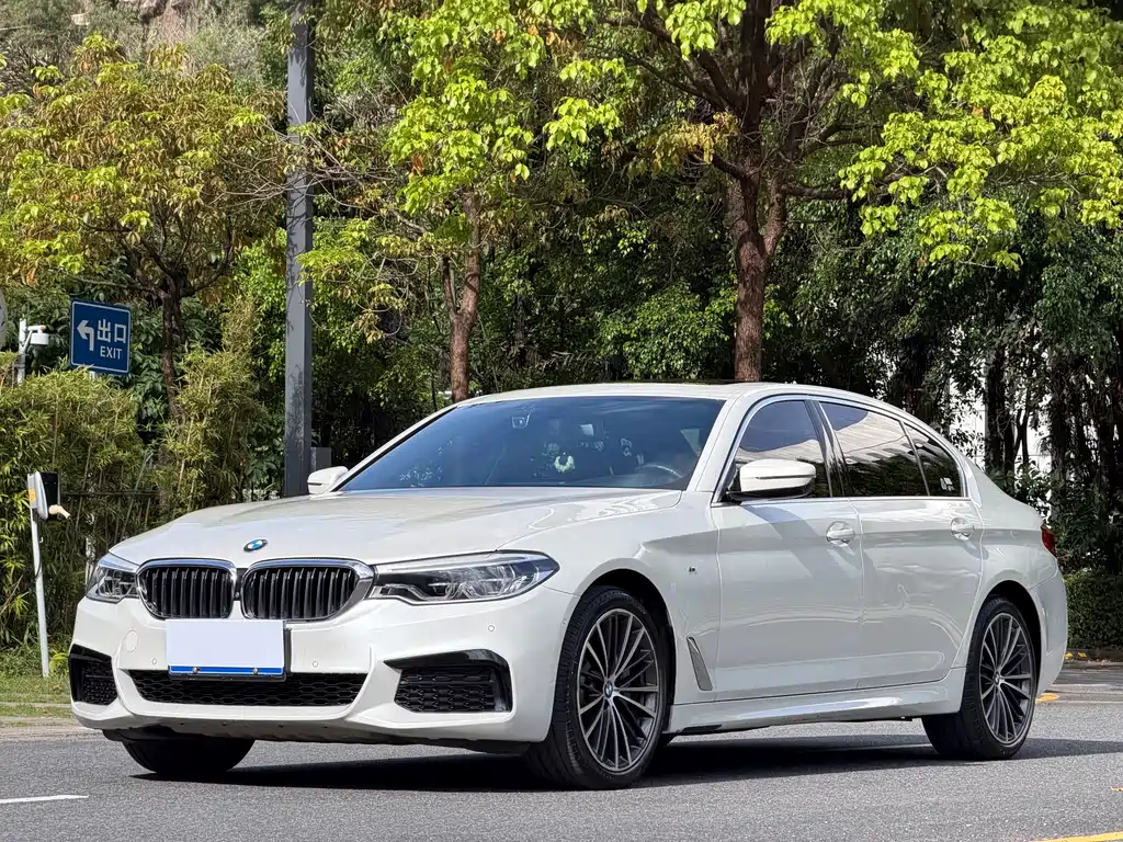 BMW 5 Series 2020 — фото 1