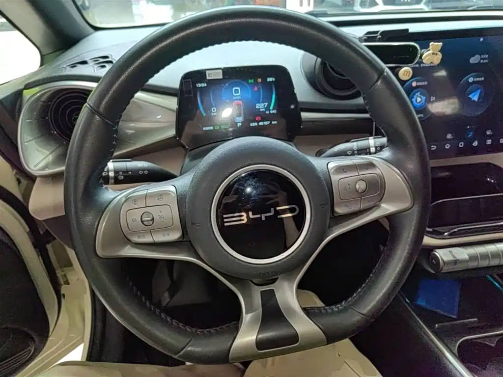 BYD Dolphin 2023 — фото 11