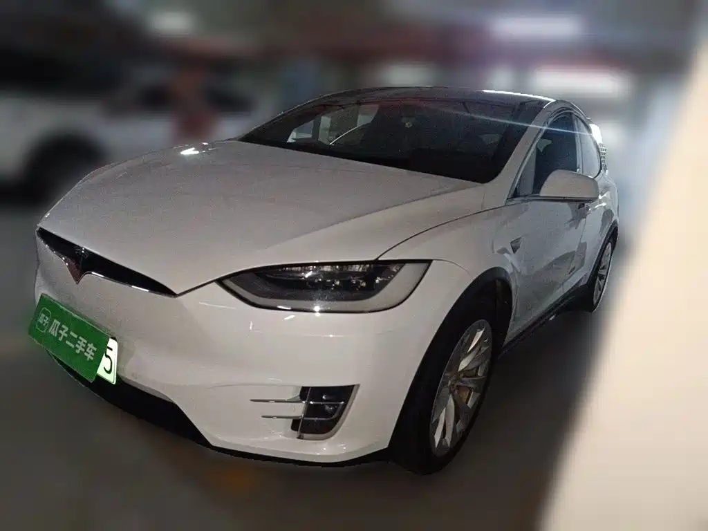 Tesla Model X 2020 — фото 2