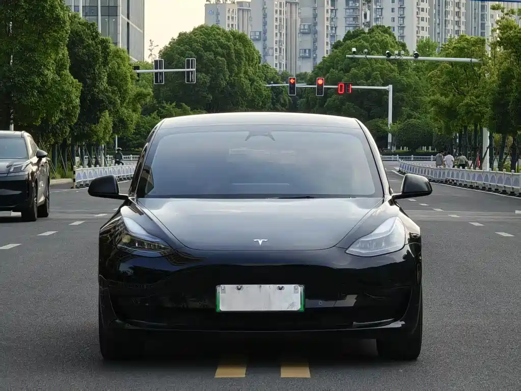 Tesla Model 3 2023 — фото 2
