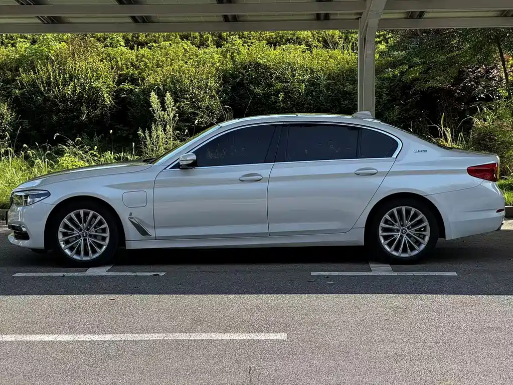 BMW 5 Series New Energy 2019