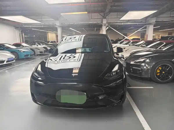 Tesla Model Y 2024