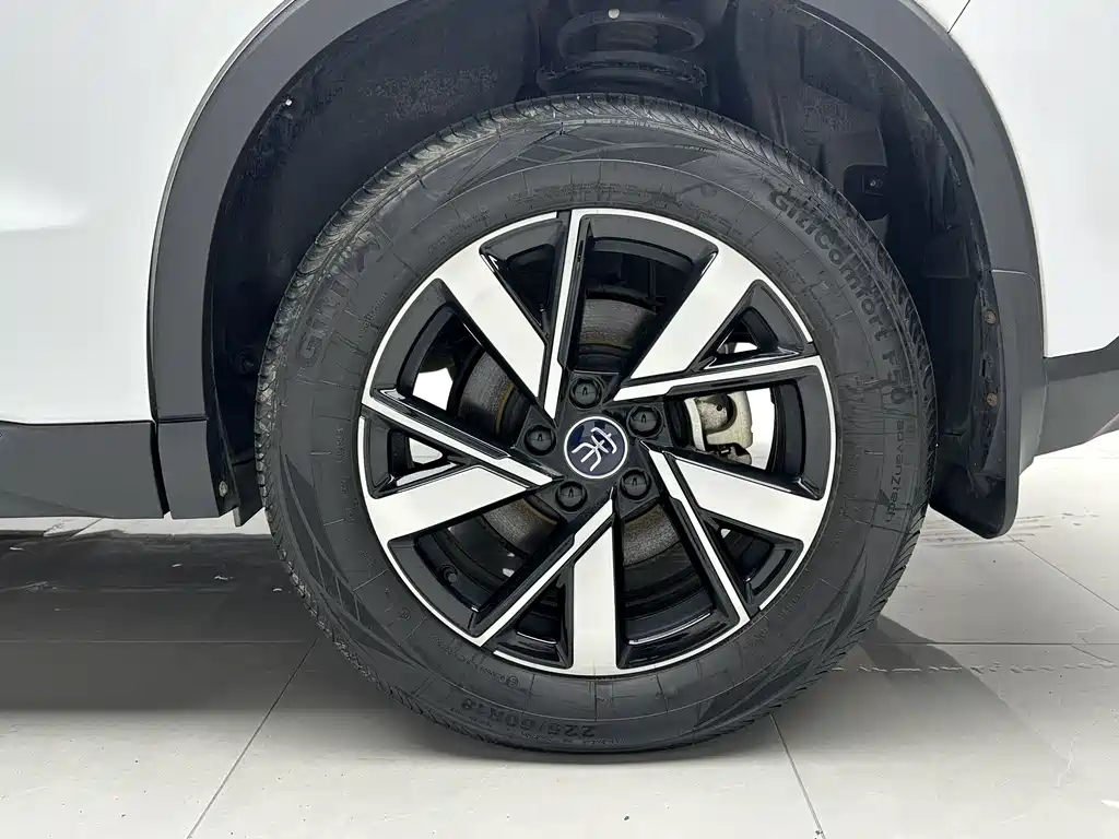 BYD Pro New Energy 2024 — фото 19