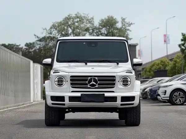 Mercedes-Benz G-Class 2019