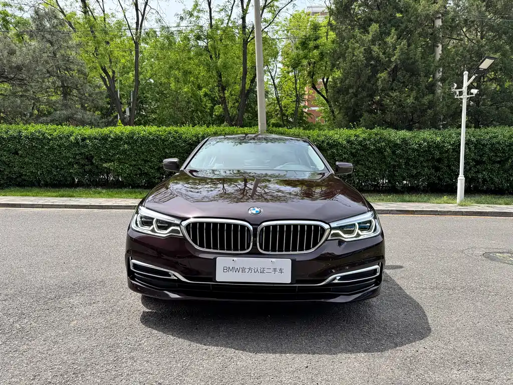BMW 5 Series New Energy 2019 — фото 2