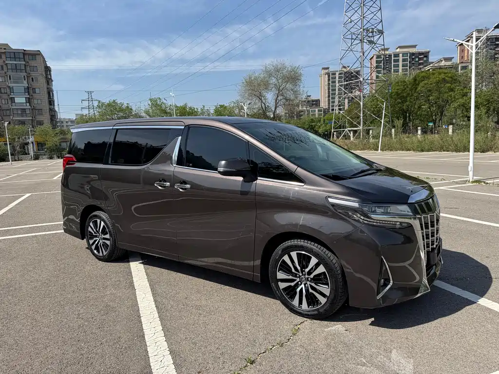 Toyota Alphard 2019 — фото 29
