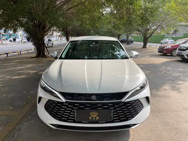BYD Qin L 2024