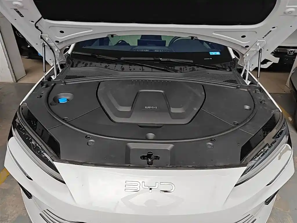 BYD PLUS New Energy 2025 — фото 20