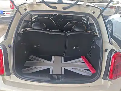 MINI MINI 2015