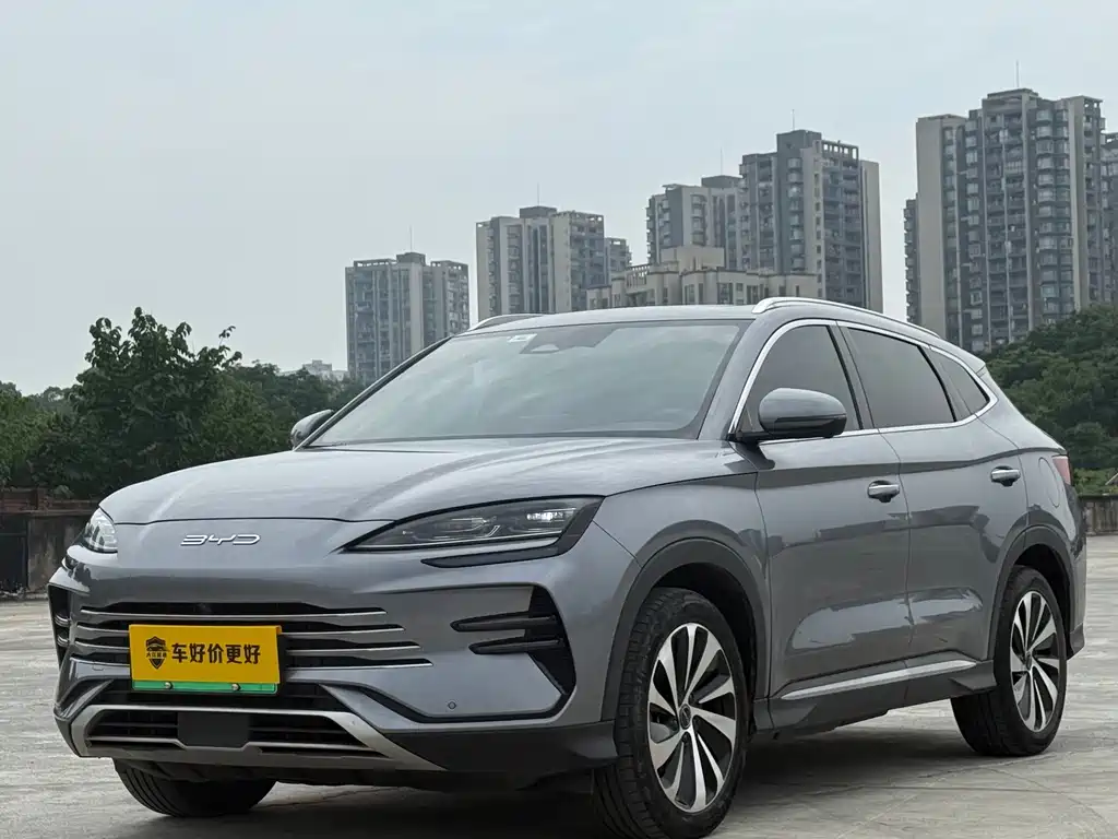 BYD PLUS New Energy 2023 — фото 1