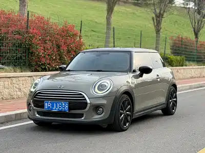 MINI MINI 2020