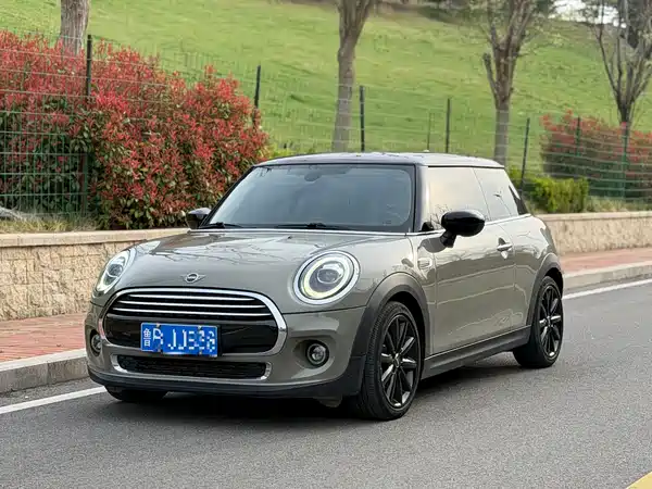 MINI MINI 2020