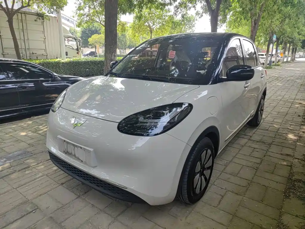Wuling Bingo 2024