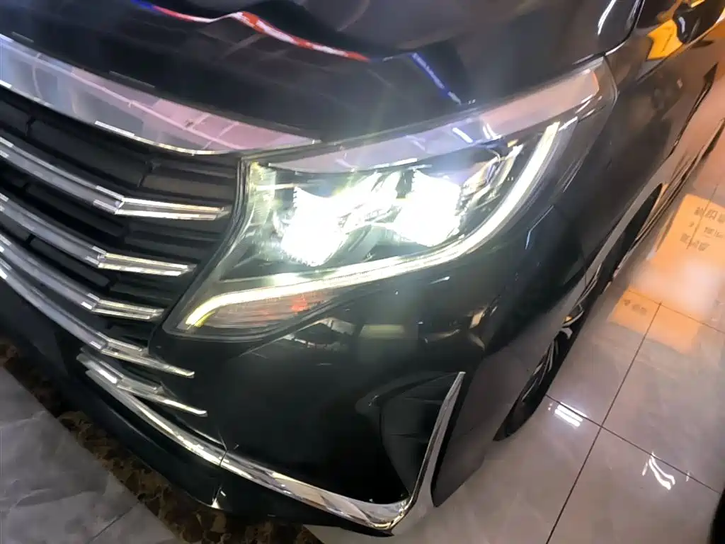 GAC Motor Trumpchi M8 2023 — фото 24