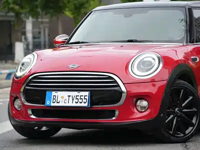 MINI MINI 2019