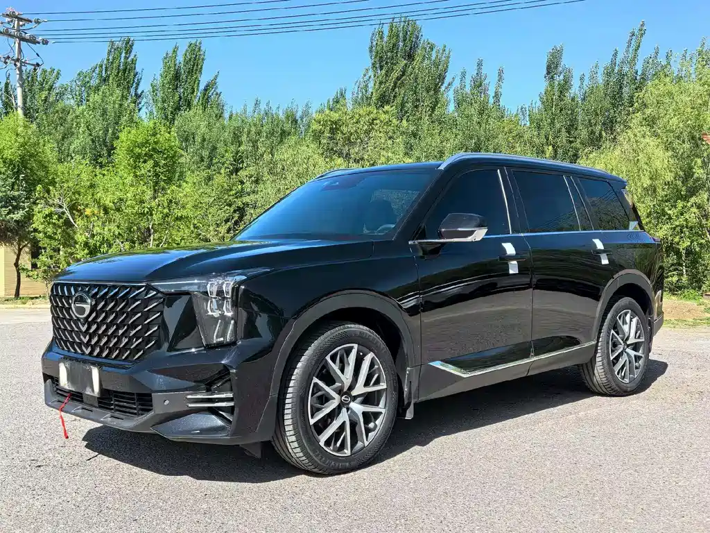 GAC Motor Trumpchi GS8 2024 — фото 1