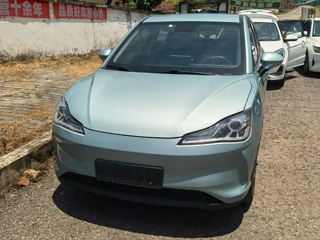 Neta V 2021