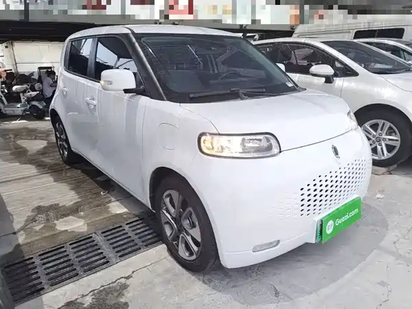 Ora White Cat 2020