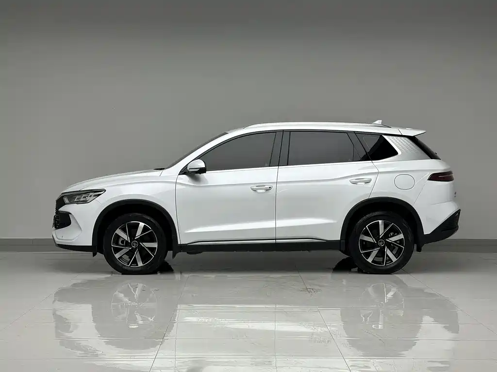 BYD Pro New Energy 2024 — фото 10