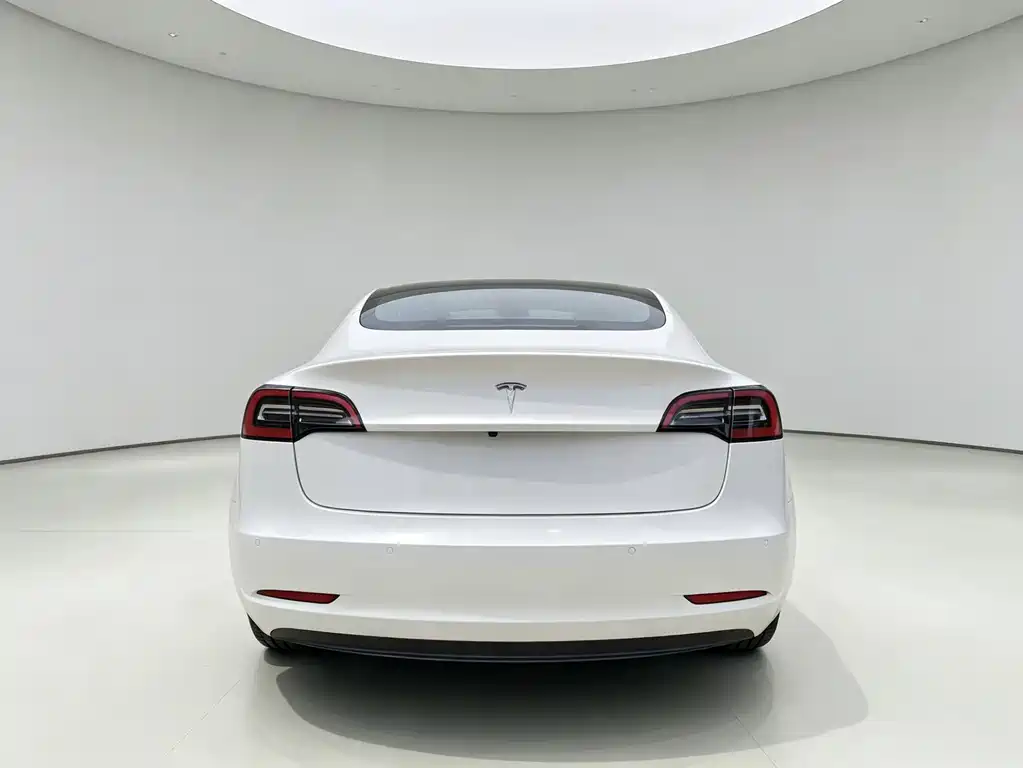 Tesla Model 3 2021 — фото 5