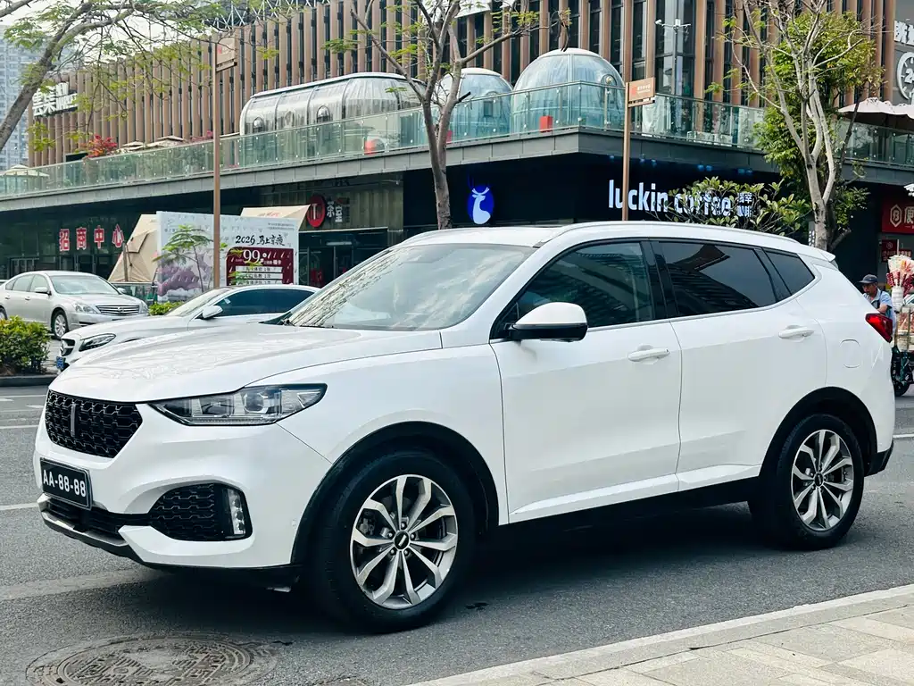 Wey VV6 2019