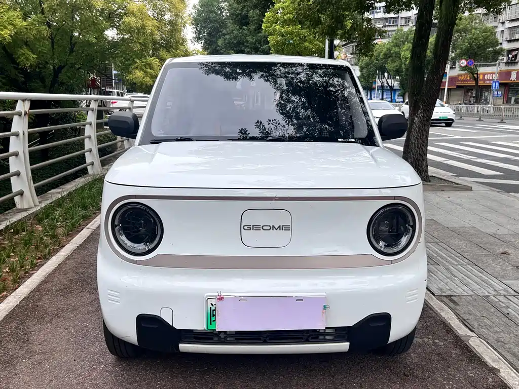 Geely Galaxy Panda 2023 — фото 2
