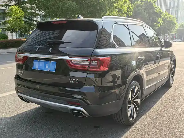 Hongqi HS7 2019
