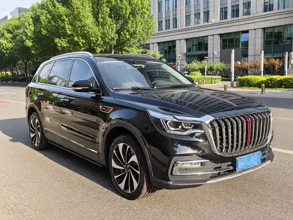 Hongqi HS7 2019