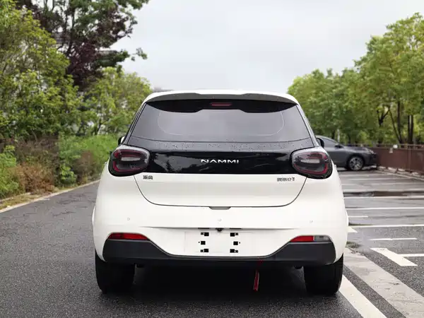 Dongfeng Nano 01 2024