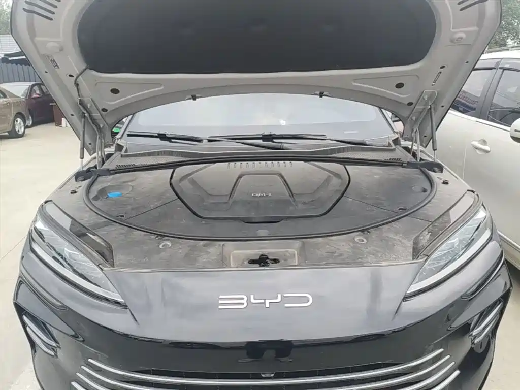 BYD PLUS New Energy 2024 — фото 20