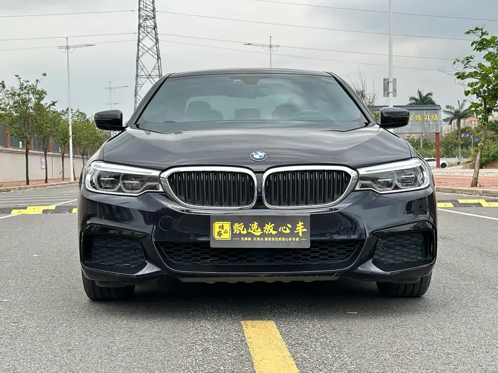 BMW 5 Series 2020