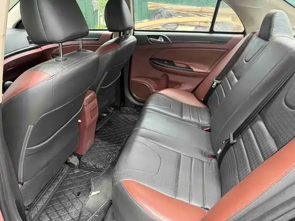 BYD Surui 2016