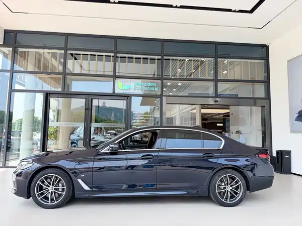 BMW 5 Series New Energy 2021