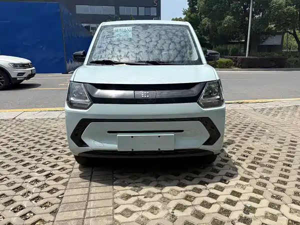 Dongfeng Scenery MINIEV 2022
