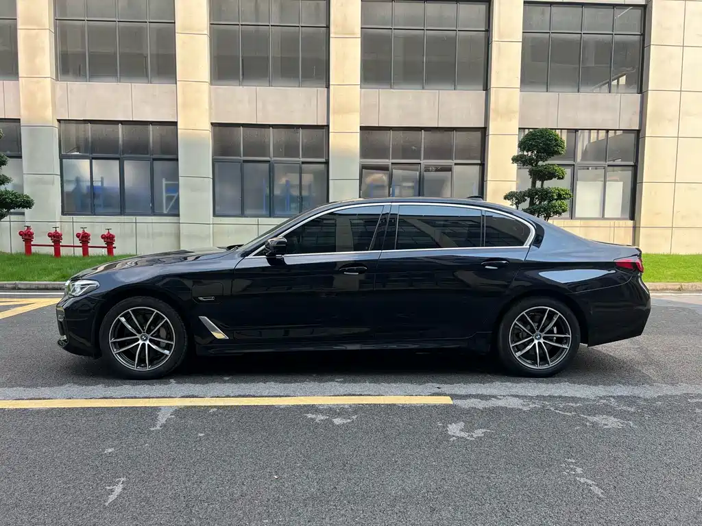 BMW 5 Series New Energy 2021