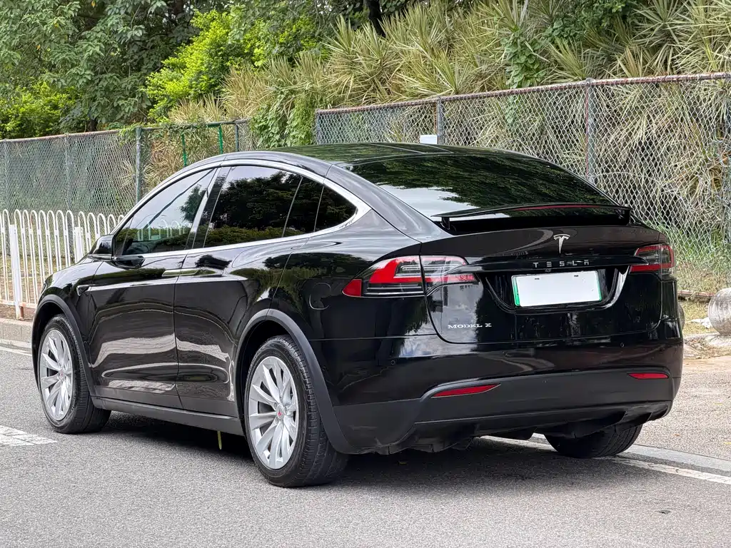 Tesla Model X 2019 — фото 10