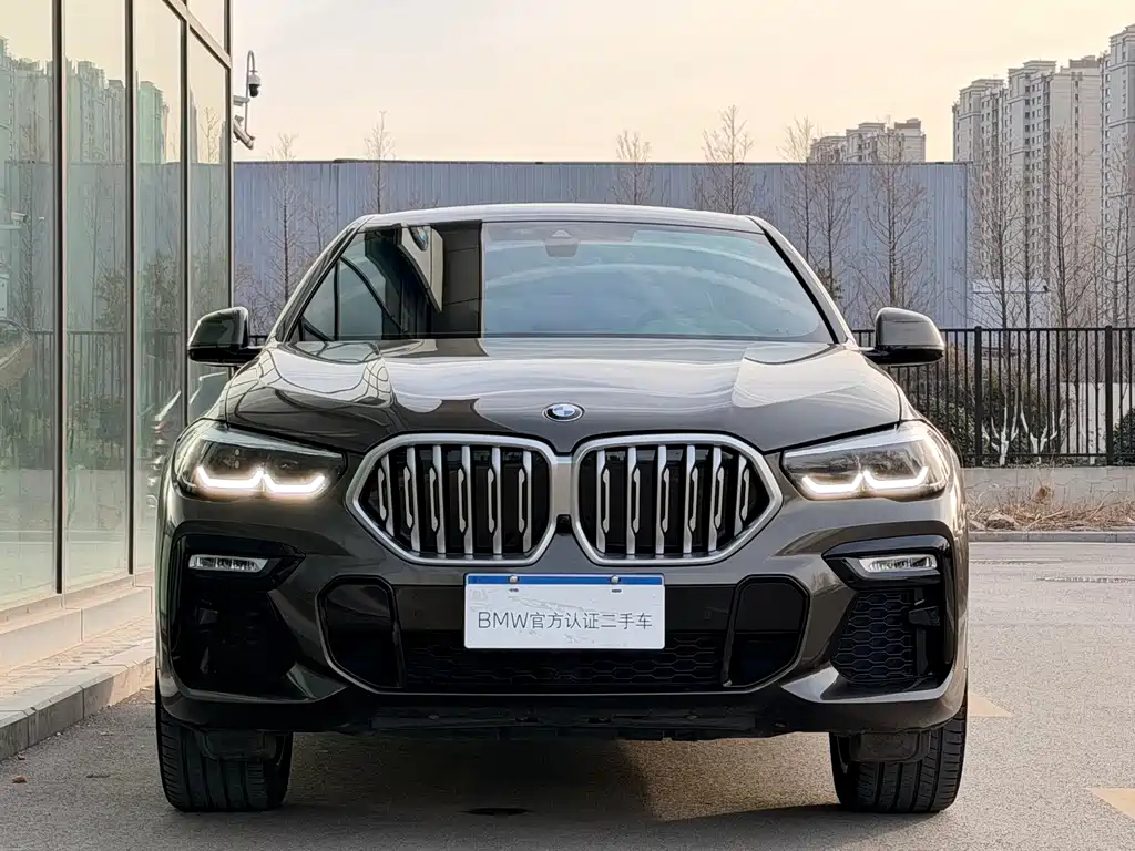 BMW X6 2020