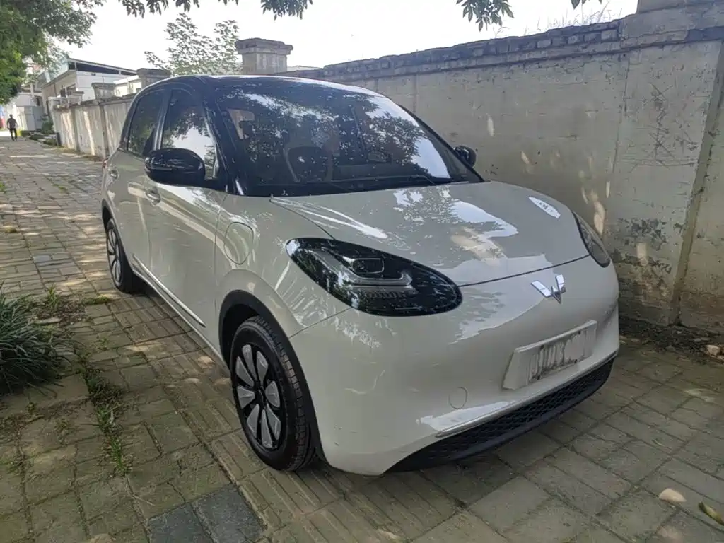 Wuling Bingo 2024