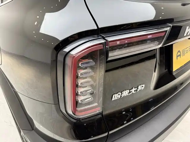 Haval Big Dog 2023 — фото 19