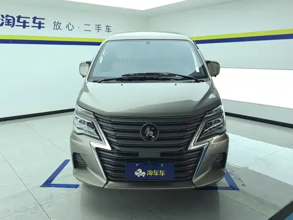 Dongfeng Lingzhi 2025